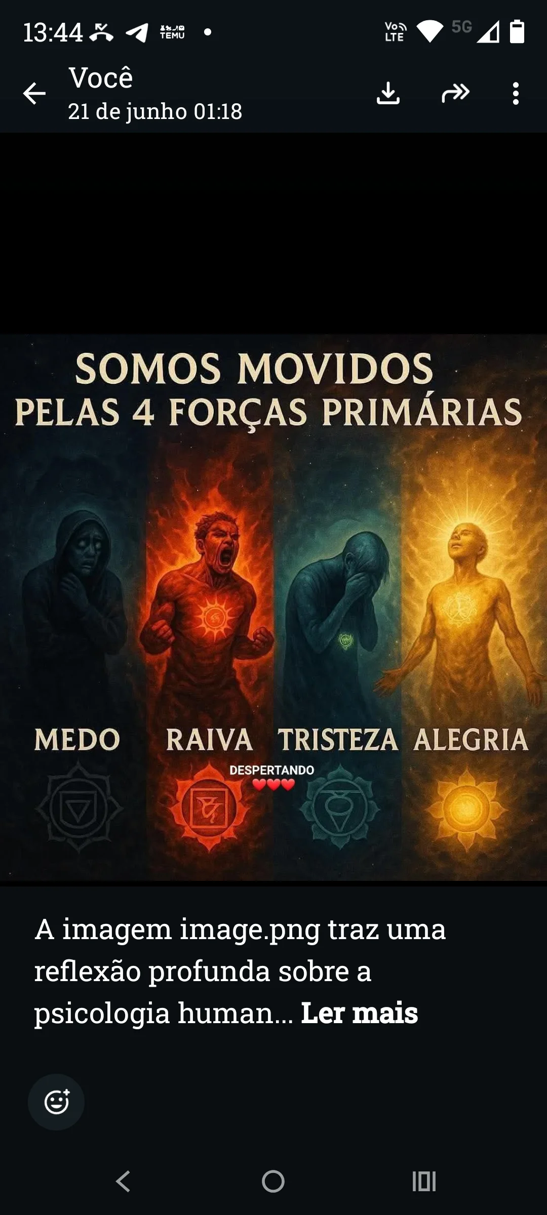 Somos movidos pelas 4 forças primarias